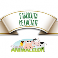 Fabricuta de Lactate